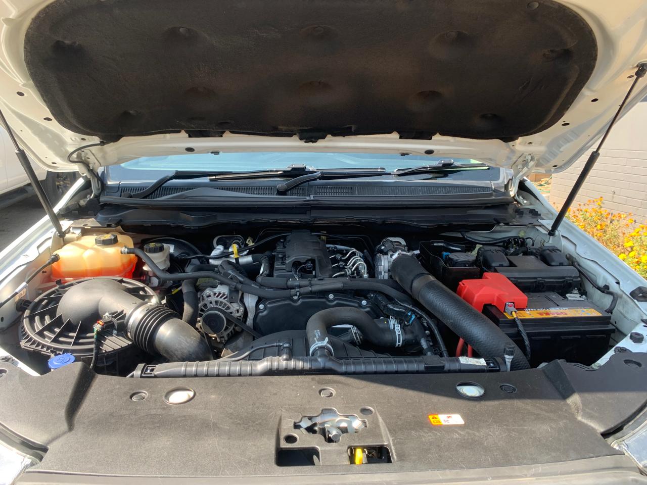 WhatsApp Image 2025-08-26 at 09.30.21