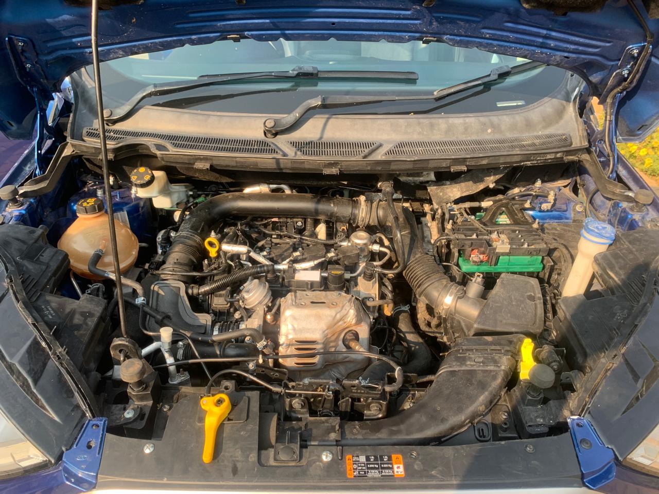 WhatsApp Image 2025-09-03 at 11.33.34